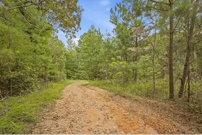 138 Roy Dean Road, Buchanan, GA 30113 - Photo 24
