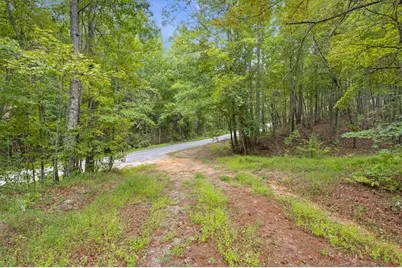 138 Roy Dean Road, Buchanan, GA 30113 - Photo 28
