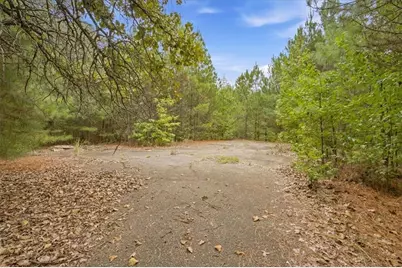 138 Roy Dean Road, Buchanan, GA 30113 - Photo 38