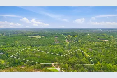 138 Roy Dean Road, Buchanan, GA 30113 - Photo 1