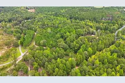 138 Roy Dean Road, Buchanan, GA 30113 - Photo 8