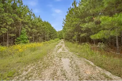 138 Roy Dean Road, Buchanan, GA 30113 - Photo 22