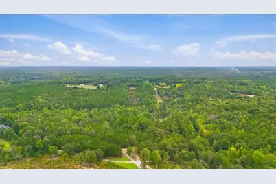 138 Roy Dean Road, Buchanan, GA 30113 - Photo 4