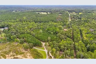 138 Roy Dean Road, Buchanan, GA 30113 - Photo 6