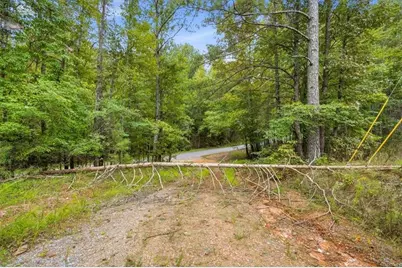 138 Roy Dean Road, Buchanan, GA 30113 - Photo 26