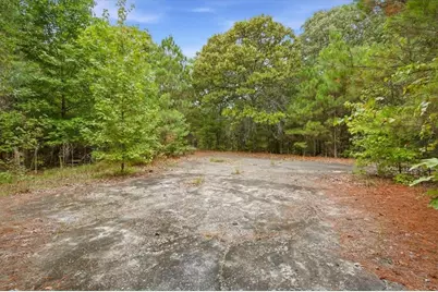 138 Roy Dean Road, Buchanan, GA 30113 - Photo 2