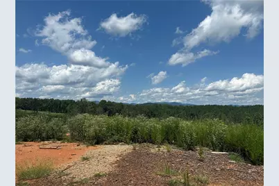 0 Larmon Forks Road, Dahlonega, GA 30533 - Photo 2
