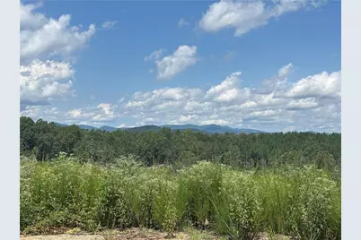 0 Larmon Forks Road, Dahlonega, GA 30533 - Photo 1