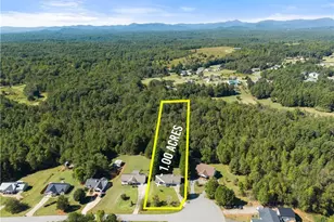 313 Hawthorne Dr, Cleveland, GA 30528 - Photo 38