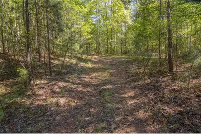 8995 Gullatt Road, Palmetto, GA 30268 - Photo 84