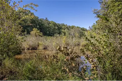8995 Gullatt Road, Palmetto, GA 30268 - Photo 82