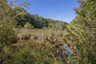 8995 Gullatt Rd, Palmetto, GA 30268 - Photo 82