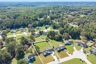 3021 Black Fox Dr, Loganville, GA 30052 - Photo 58