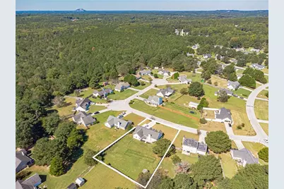 3021 Black Fox Drive, Loganville, GA 30052 - Photo 62
