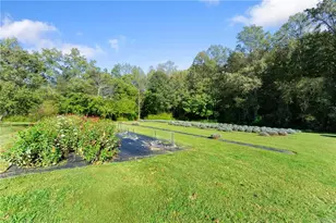 2882 Red Oak Flats Rd, Dahlonega, GA 30533 - Photo 42