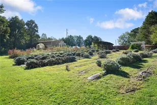 2882 Red Oak Flats Rd, Dahlonega, GA 30533 - Photo 44