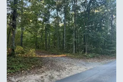 0 Owensby Lane, Adairsville, GA 30103 - Photo 8