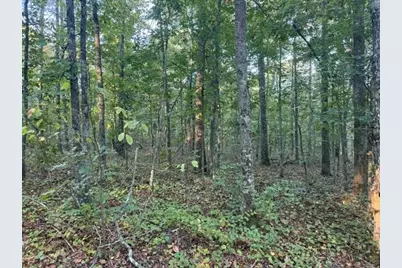 0 Owensby Lane, Adairsville, GA 30103 - Photo 2
