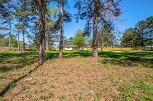 2159 Shiloh Rd, Greensboro, GA 30642 - Photo 10