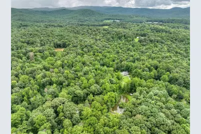 1009 Hefner Lake Road, Ellijay, GA 30536 - Photo 78