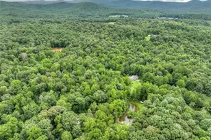 1009 Hefner Lake Rd, Ellijay, GA 30536 - Photo 78