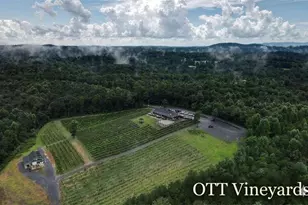 1009 Hefner Lake Rd, Ellijay, GA 30536 - Photo 88