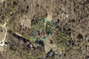 1009 Hefner Lake Rd, Ellijay, GA 30536 - Photo 60
