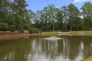 117 Heron Crossing, Woodstock, GA 30188 - Photo 32