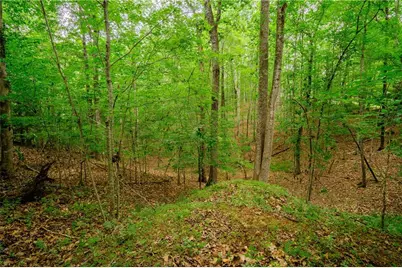 12 Scott Drive, Ellijay, GA 30540 - Photo 36