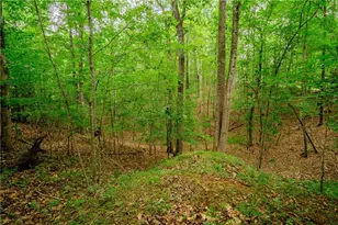 12 Scott Dr, Ellijay, GA 30540 - Photo 36