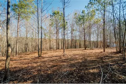 691 Moccasin Gap Road, Jackson, GA 30233 - Photo 8