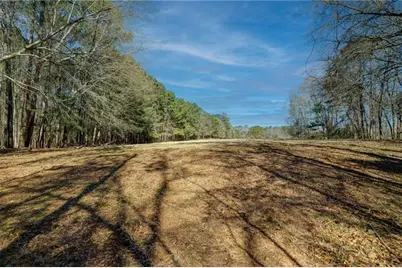 697 Moccasin Gap Road, Jackson, GA 30233 - Photo 8