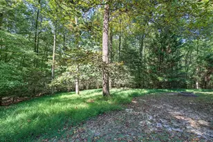 2108 Blackberry Mountain Rd, Ellijay, GA 30536 - Photo 62