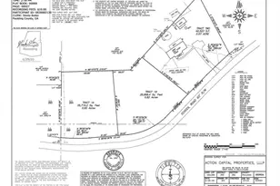 447 School Rd, Dallas, GA 30132 - Photo 64