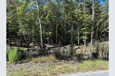 Lt 533 Eagle Mountain Drive, Ellijay, GA 30540 - Photo 14