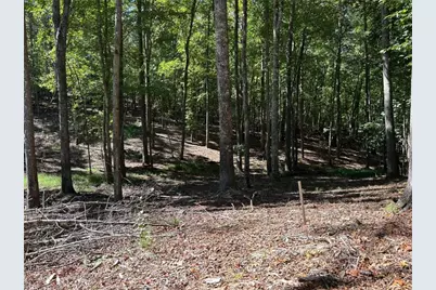 Lt 533 Eagle Mountain Drive, Ellijay, GA 30540 - Photo 1