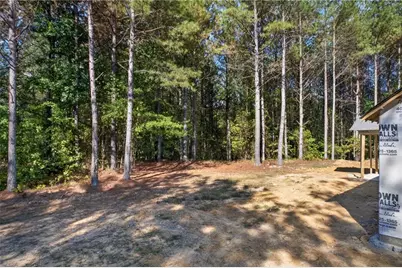 410 Pleasant Hill Road, Rockmart, GA 30153 - Photo 40