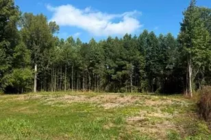 6712 Cleveland Hwy, Clermont, GA 30527 - Photo 1