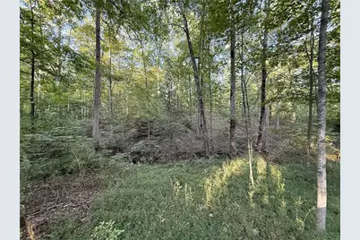 3055 Longstreet Road, Milton, GA 30004 - Photo 14