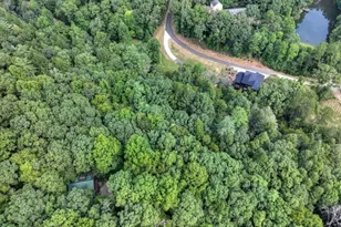 381 Icy Ln, Blue Ridge, GA 30513 - Photo 68