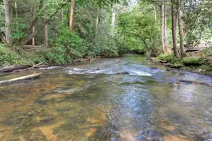 381 Icy Ln, Blue Ridge, GA 30513 - Photo 4