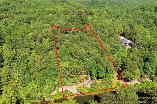 446 Old Vlg Rd, Sautee Nacoochee, GA 30571 - Photo 72