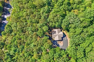 446 Old Vlg Rd, Sautee Nacoochee, GA 30571 - Photo 50