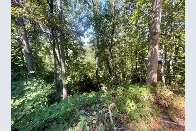 0 Eagle Court, Toccoa, GA 30577 - Photo 8