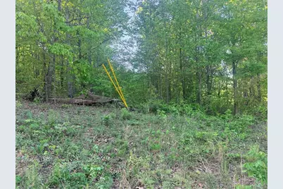 0000 Mountain View Circle, Bremen, GA 30110 - Photo 6