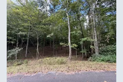 133 Seneca Drive, Ellijay, GA 30540 - Photo 18