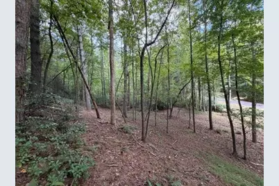 133 Seneca Drive, Ellijay, GA 30540 - Photo 10