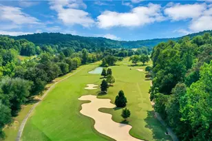 30 Overlook Cove, Dahlonega, GA 30533 - Photo 76