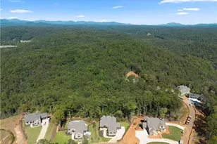 30 Overlook Cove, Dahlonega, GA 30533 - Photo 68