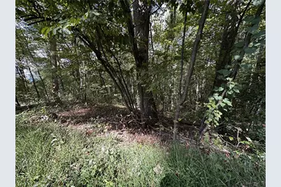 7R Mountain Falls Loop, Ellijay, GA 30536 - Photo 14